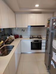 The Lakefront Residences (D22), Condominium #516141121